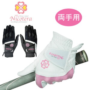 fB[X/pjRe@fB[XO[u @p / NTGL-3407 /NICOTERA/p