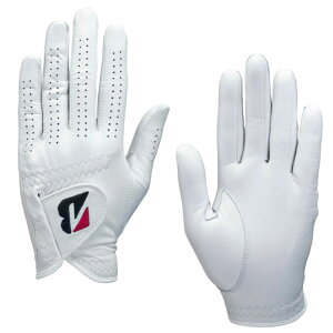 3ZbguaXgSt@cA[fO[u@cA[v~A@GL2500@VRv/TOUR PREMIUM/BRIDGESTONE GOLF