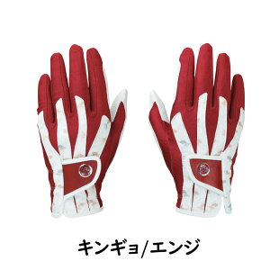 A/pbP[WȂfB[X/pLXR@O[u@fB[Xp@18`21cm̃t[TCY/pO[u/Kasco / LXR