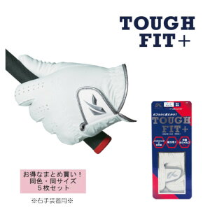 5Zbg/E葕pLXR@^ttBbgvX@SF|21161R/Kasco / LXR/StO[u/teB