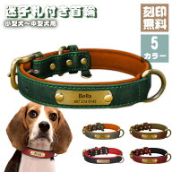 【1点で6%・最大から18%オフ】 【お名前無料彫刻】犬 首輪 名入れ 犬用 痛くない サイズ調節可 オーダー…