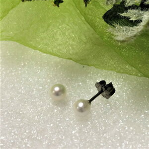 sAX AM[Ή FDAsAX a4.0~p[  qłԂ `^sAX AM[t[ mAM[ sAX `^ `^ p[ 6a