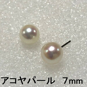 sAX AM[Ή FDAsAX a7mm ARp[  qłԂ `^sAX AM[t[ mAM[ sAX `^ `^ p[ ^ 6a