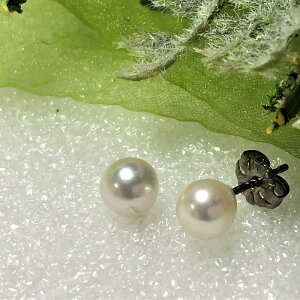 sAX AM[Ή FDAsAX a5mm ARp[  qłԂ `^sAX AM[t[ mAM[ sAX `^ `^ p[ ^ 6a