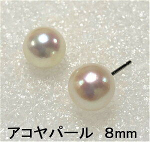 sAX AM[Ή FDAsAX a8mm ARp[  qłԂ `^sAX AM[t[ mAM[ sAX `^ `^ p[ ^ 6a