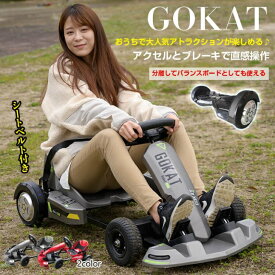 カート 電動 ボード フレーム ホイール バランス 遊園地 アトラクション od428 MHC GOCART