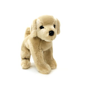 ܂Ŗ{̂悤Ȃ킢ʂ݃_OXЂʂ݁@CG[uh[(L)Mtg@v[g@j@ʁ@CkyyMt_IzyyΉz