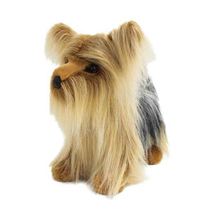 [NV[eA(3L)@douglas toy _OXЁ@@ʂ݁@A@Aj}G݁@ʂ݁@ʂ݌@Stuffed animals Plush dogs@a@v[g@Mtg