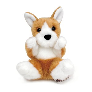 _OX nhthbOiR[M[j ʂ yyMt_IzyyΉz