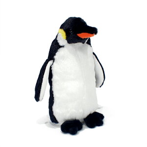 _OX REeCyM(M) yM ʂ݁yyMtIzyyΉz