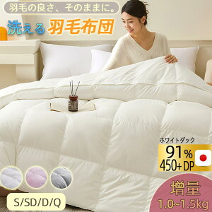 Hѕzc g30}X̃Lg zCg_bN_E 90 R 350dpȏ  150mmȏ H zc |zc |zc ~ y g |zc VO Z~_u _u O 2025ŐV