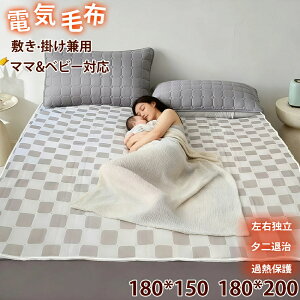 y2025V1Nۏ؁zdCѕz ~ }}ƃxr[̈S E ʁX x 唻TCY dg g dIt ߔMی 4TCY 180*150cm G肪 ΍ _u Z~_u 