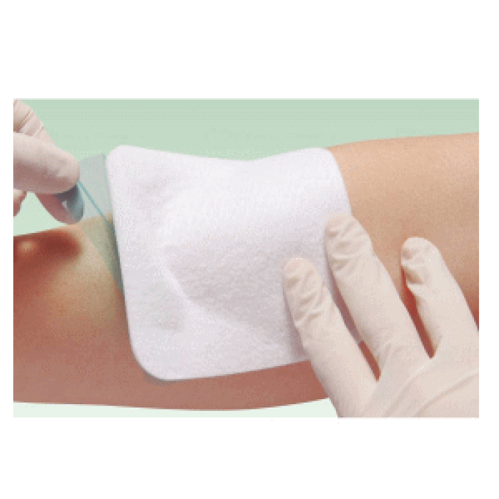 楽天市場】【送料込み】エスアイエイド 5号(100×100mm 50枚入