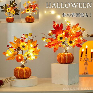 nEB  J{` gt ݂ H H  u nEB[ HALLOWEEN  O ڂ ͋C nEB[   O  p[eB Cxg ~ O