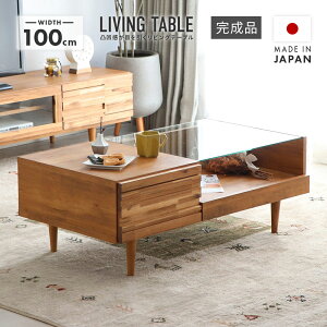 [e[u rOe[u 100cm KXV ؐ  [t ot Z^[e[u R[q[e[u ā[Ԃ ؐ k rt