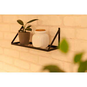 ACIY TK IvVi ACAbN TK-MR GA