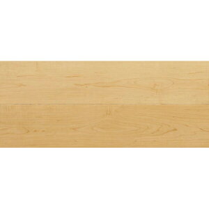 y10̓Gg[P10{z iYƁ@s[X^Cv _CNg n[h[v n[h[v DXWW-HM t[O  tA