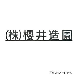  ٖEƃTC j[uXACAٖ IRZ-6