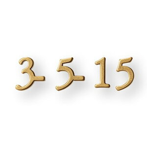 【10月はエントリーでP10倍】 福彫 表札 ラシック 真鍮切文字 番地オプション SKT-903