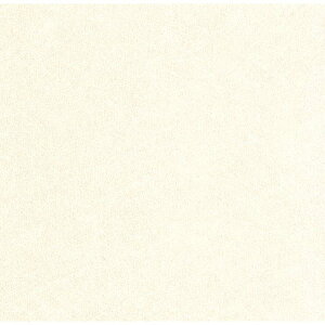 ���{�f�R���b�N�X �p�j�[�g �R�N�[���z���C�g 3x6 3mm FX3241G �L�b�`���p�l��