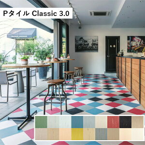 c[tBO P^C 3.0 Classic P[X̔ ^W} ^C rj^C 3 304.8 304.8mm 3.07  މ