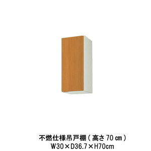 Lb` sRdl݌˒I Ԍ30cm 70cm GS(M-E)-AM-30ZF(R-L) W300mm LIXIL NV ؐLrlbg GSV[Y ZNViLb` Ap[g cZ Б scZ c^   