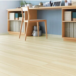 y10̓Gg[P10{z t[O VbT DtA ؖڃ^Cv151 ND-2B -ND2B01-MAFF GWjAOEbh{Yjt 1P[X6 LIXIL/NV މ