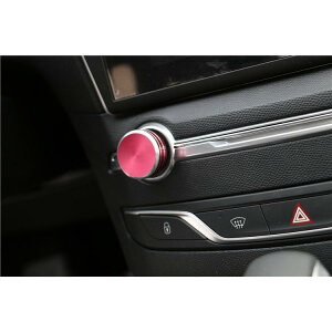 �s���N/���b�h�@�I�[�f�B�I �_�C���� �J�o�[ �v�W���[ 308 308SW GT GTi �v���~�A�� �A�����[�� �V�G�� GT���C�� �u���[HDi�@b8640