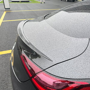 �����Z�f�X �x���c C236 CLE200 CLE�N���X �N�[�y �X�|�[�c �J�[�{�����b�N �g�����N�X�|�C���[ ���A�X�|�C���[ ���A�@�E�C���O �X�|�C���[ �G�A�� ZST-730