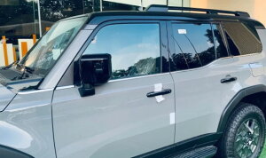 g^ hN[U[ 250 EChEt[g XeX bL hA[ TCh EChE K[jbV N250 TRJ250W GDJ250W LC250 b11760