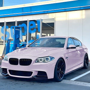 BMW F11 523i 523d 528i 535i 550i 5�V���[�Y �c�[�����O M�X�|�[�c �J�[�{�� ���b�N �T�C�h�X�J�[�g �J�o�[ b13483