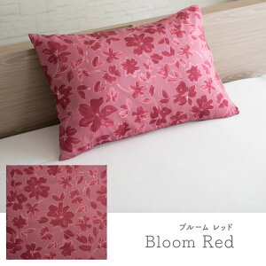 yԌP5{zJo[ 43×63cm 1000~|bL  2g ^ s[`XL s[P[X ܂Jo[ ɗD ₷ ԕ 킢  􂦂 EHbVu ɂ