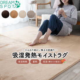 ラグ 洗える 1畳 1.5畳 2畳 3畳 カーペットカバー 吸湿発熱 保湿 蓄熱 ラグ 滑り止め ラグマット センターラグ 絨毯 洗える ホットカーペット 冬用 床暖房 85×170cm 130×190cm 185×185cm 200×240cm 200×290cm