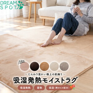 【終日ポイント5倍】ラグ 洗える 1畳 1.5畳 2畳 3畳 カーペットカバー 吸湿発熱 保湿 蓄熱 ラグ 滑り止め ラ