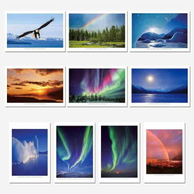 絶景 アラスカ オリジナルポストカード 10枚セット シリーズ (月、オーロラ、虹、白頭鷲)