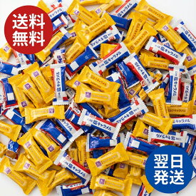 【送料無料】 【大容量513g】人気2種詰め合わせパック 森永キャラメル（ミルクキャラメル＆塩キャラメル）大容量 2種アソートセット 職場・学校・イベント用にも