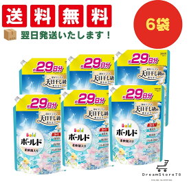 ボールド 洗濯 洗剤 液体 フレッシュサボン 詰め替え 690g 6袋 液体 洗剤 洗浄力アップ 消臭 効果 抗菌 色落ち 防止 衣類ケア 低刺激 衣類 保護 長持ち 部屋干し 対応 乾燥性 頑固 汚れ 対策 オリジナルおしぼり付き 送料無料