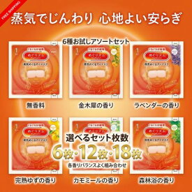 【お試しアソートセット】6種類 各3袋 セット めぐりズム 蒸気でホットアイマスク 無香料 金木犀 森林浴 カモミール 完熟ゆず ラベンダー