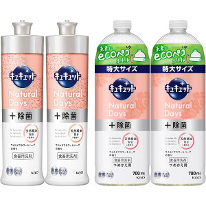 ԉ LLbg Natural Days + Hp Cht[&n[u̍ { 240ml + lւp 700ml {2+lߑւ2Zbg 8LINK