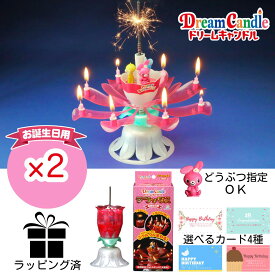 楽天市場 誕生日 サプライズ 花火の通販