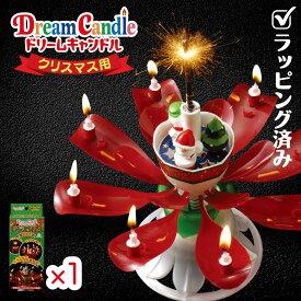 楽天市場 クリスマスプレゼント 男性 ホビー の通販