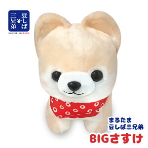 ʂ Č 傫 ӂӂ   ObY [ ܂邽  OZ BIG  ] 35cm 700698 A~t@ G n   ܂ 킢 Sn a v[g