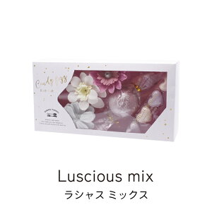  Mtg v[g XEB[c] LfBtBY oXMtg VX~bNX OB-SMG-13-1 mR[|[V  蕨 C oX  oX^C bNX fgbN