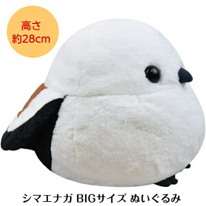 V}GiK ʂ 傫 ObY 킢 ӂӂ  kC  [ ӂӂ V}GiK BIG V} ] 28cm 702398 a v[g Mtg 蕨 CeA Sn 