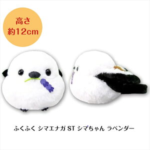 V}GiK ʂ ObY  ܂Ȃ [ ӂӂ V}GiK ST V} x_[ ] 12cm (703041) A~t@ ̗d G n kC  킢 a v[g 