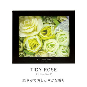  Mtg v[g Ve[Y oXy^ ^CfB[Y OB-DRP-1-3 60g mR[|[V  蕨 C oX  oX^C bNX fgbNX a ̓ o