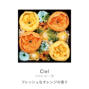  Mtg v[g VEhEt[ {bNX oXy^ OB-EGN-1-4 VG mR[|[V  蕨 C oX  oX^C bNX fgbNX a ̓