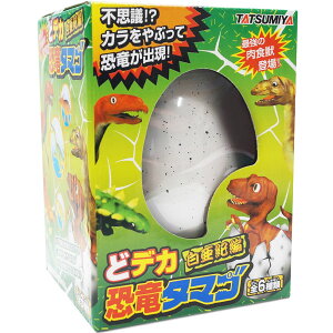 ǃfJ^}S I 6 1 ̂Ȃő傫Ȃ ct ۈ牀  q p[eB Cxg ii ܕi v[g ߋ C[X^[ [ߐ j j̎q   