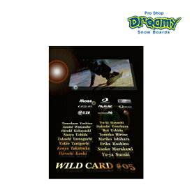 CARVEMAN カーブマン WILD CARD #5 ワイルドカード カービング フリーライディング テクニカル スノーボード カービング DVD