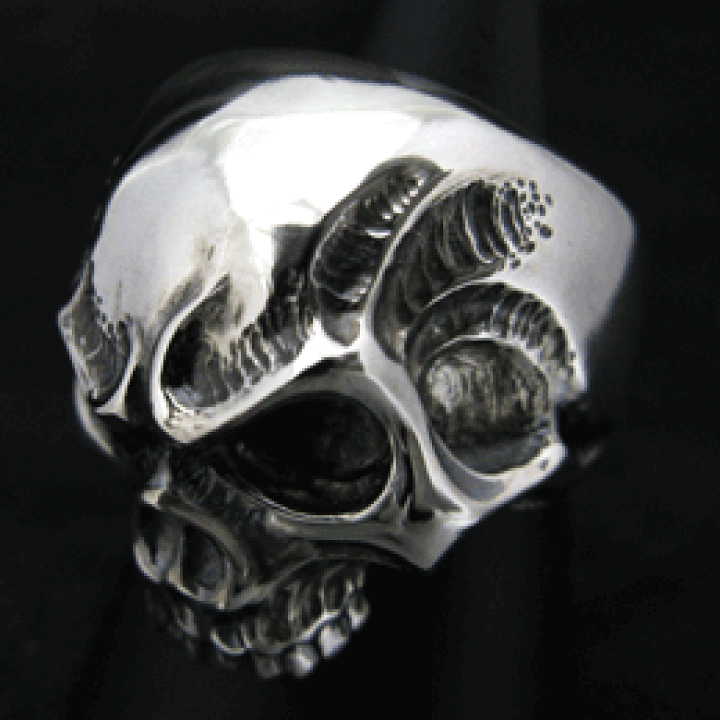 楽天市場 Kagemaru Designs カゲマルデザイン スカルシリーズ Rugged Skull Ring ラギッドスカルリング 髑髏 指輪 メンズ Silver925 シルバー925 シルバーアクセ Dredline楽天市場店